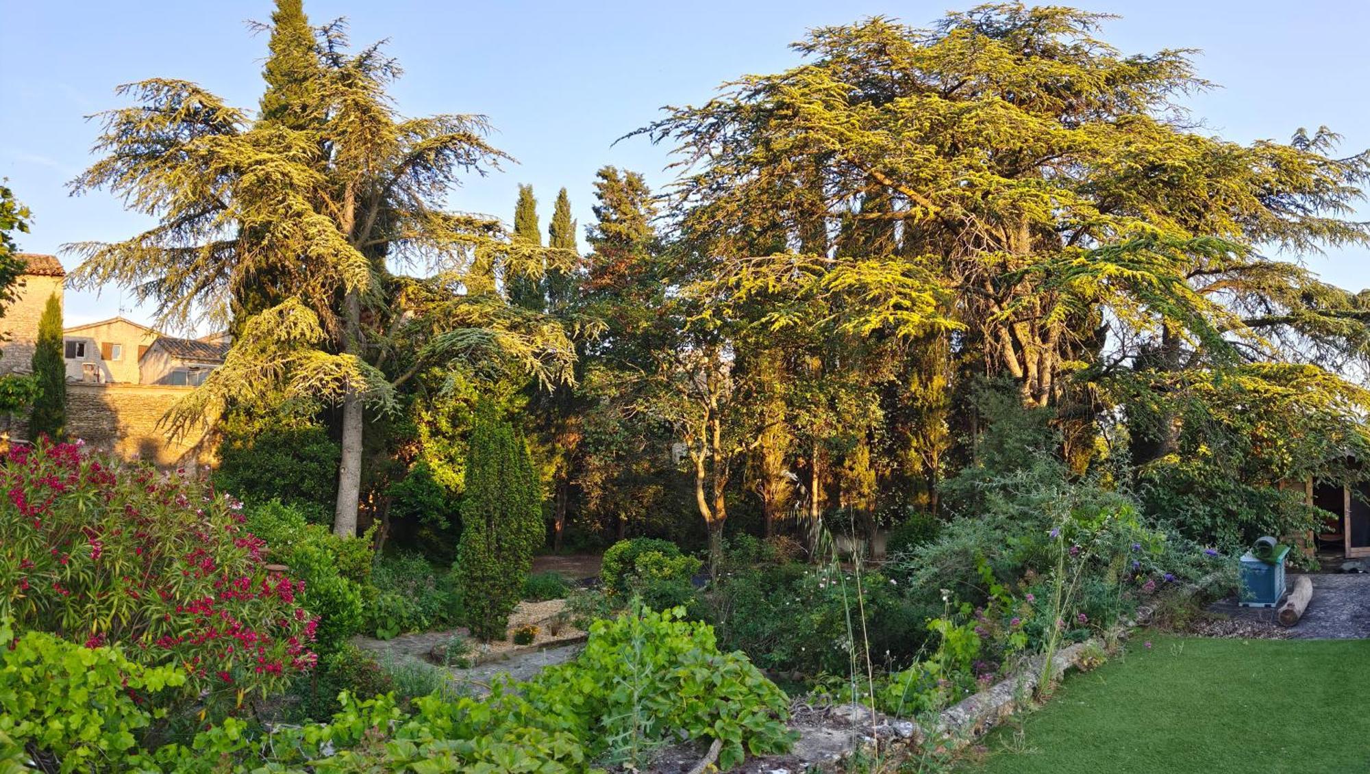 Rue Du Chateau A Cabrieres D'Avignon Bed and Breakfast Εξωτερικό φωτογραφία